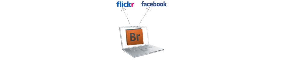 uploading digital images to facebook and flickr using adobe bridge cs5